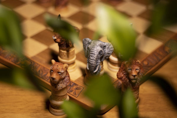 File:Chess Game with African Animals (37674559596).jpg - Wikimedia Commons