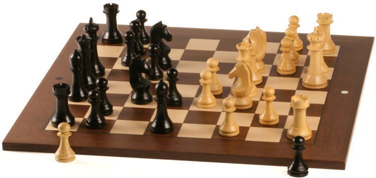 The FIDE Chess World Championship: A Millennia-Old Saga of Intellectua –  Chess House