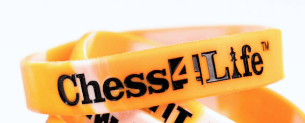 Chess4Life Wristband - Accessory - Chess-House