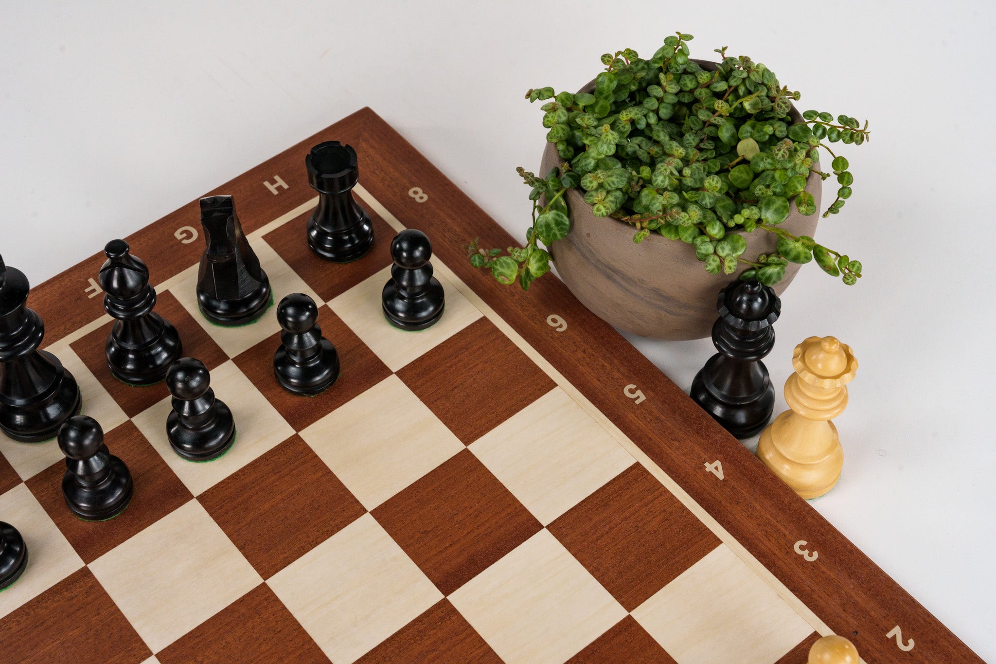 DC chess set 32 pcs online total